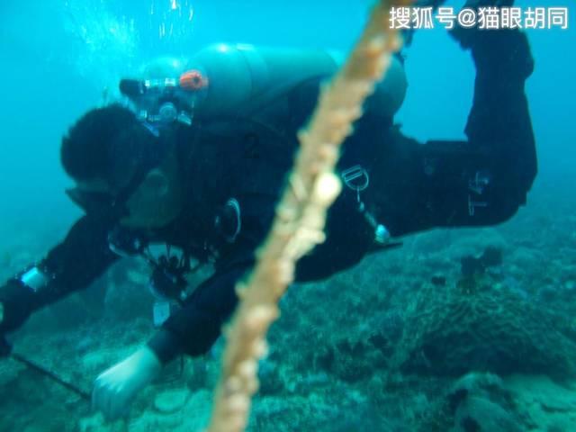 华瓷股份3涨停